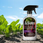 Actually Natural - All purpose beet-vinegar cleaner